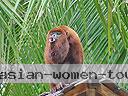cartagena-women-boat-1104-2